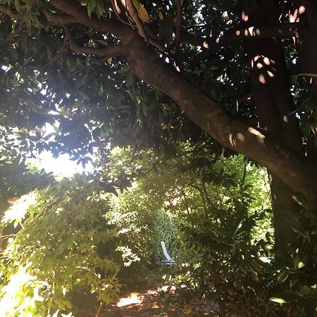 Villa Cardano Maccagno Close To Every Destination Exterior foto