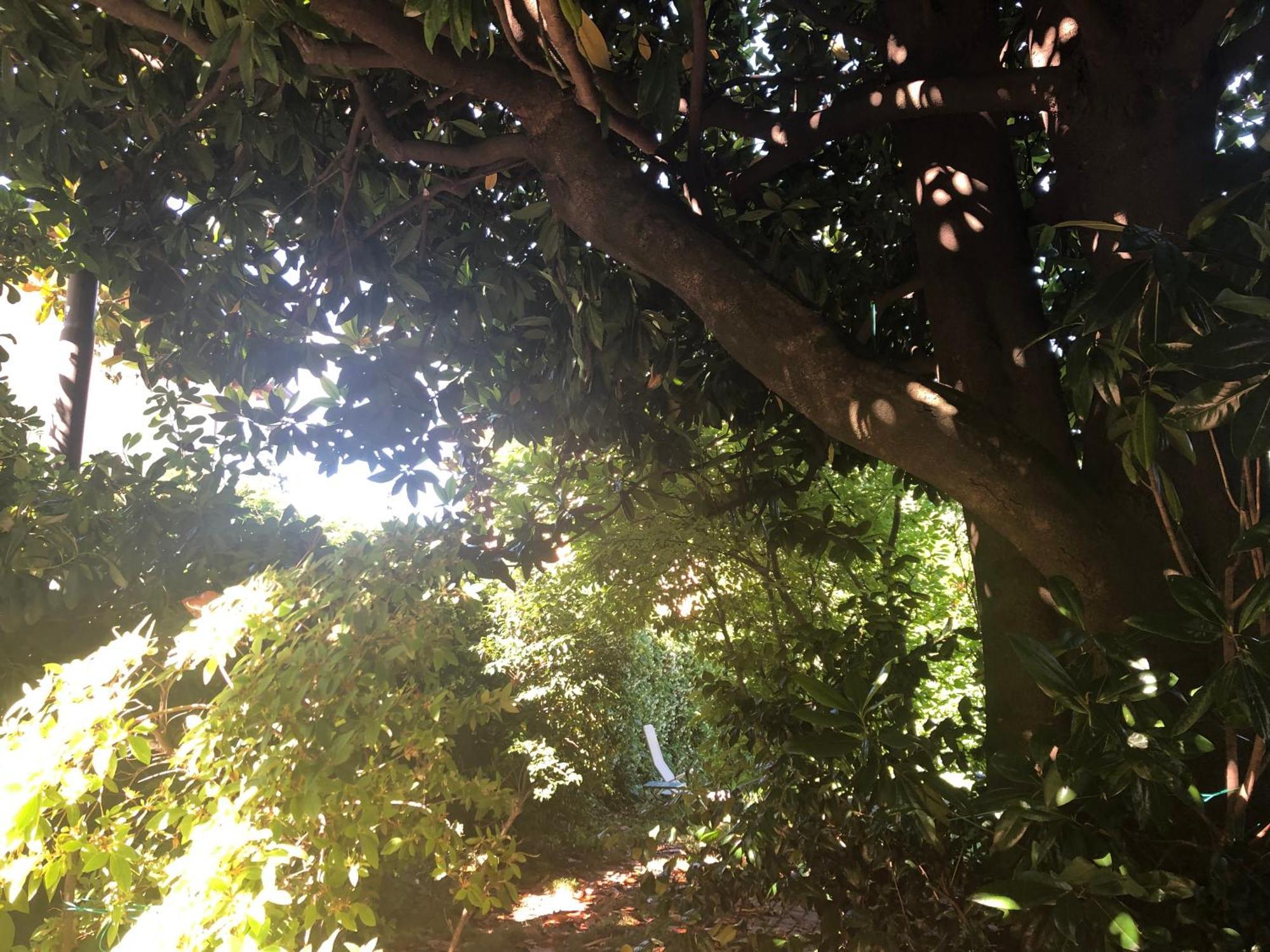 Villa Cardano Maccagno Close To Every Destination Exterior foto